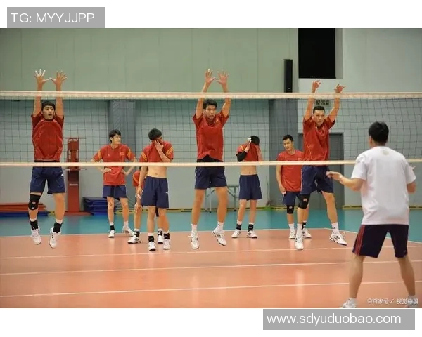 深圳排球队的个人能力提升与团队协作的完美结合探讨