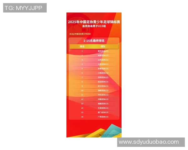 深圳篮球队在联合会杯积分榜上以60分稳居第一名引发关注